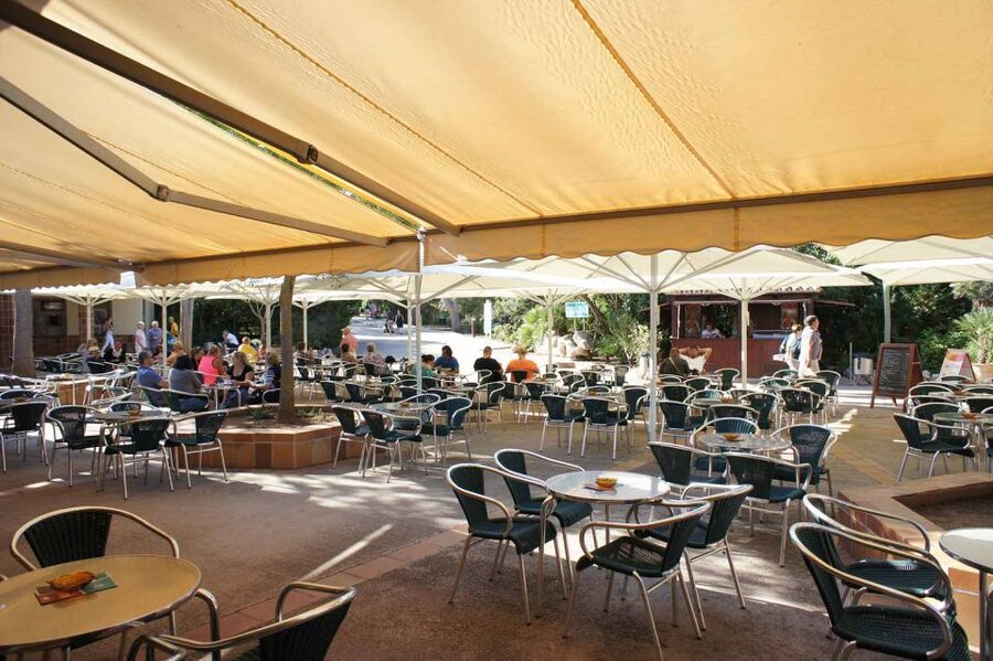 Mallorca: Ticket for Caves of Drach with Pickup Service - Comfort Tips That Make the Tour Better