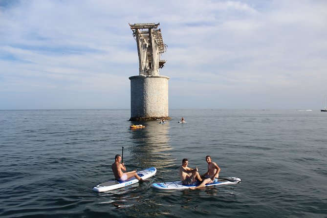 Marbella 3-hour Catamaran Group Excursion with Dolphin Watching - Dolphin Watching Without Guarantees: How to Think About It