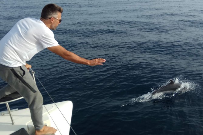 Marbella 3-hour Catamaran Group Excursion with Dolphin Watching - Anchoring for the Fun Part: Swim, Snorkel, SUP, Fishing