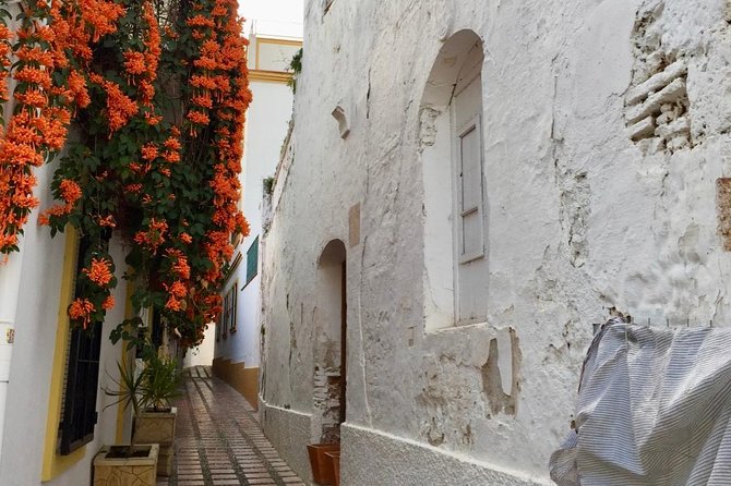 Marbella Old Town: Group Tour with a True Local - The 1502 palace stop, the moment the tour “gets real”