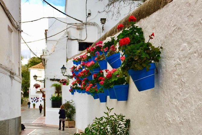 Marbella Old Town: Group Tour with a True Local - Guides that make it feel local, not scripted