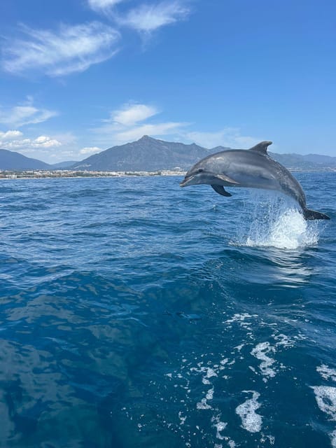 Marbella: Sailing & Dolphin Watching with Snacks and Drinks - Drinks and snacks: how they add real value