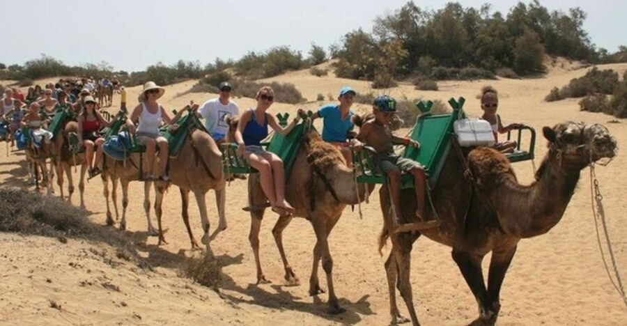 Maspalomas: Guided Camel Ride in the Maspalomas Sand Dunes - The 30-minute camel ride through Maspalomas dunes