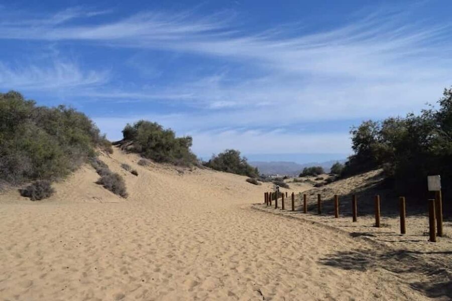 Maspalomas: Guided Camel Ride in the Maspalomas Sand Dunes - What happens before you mount