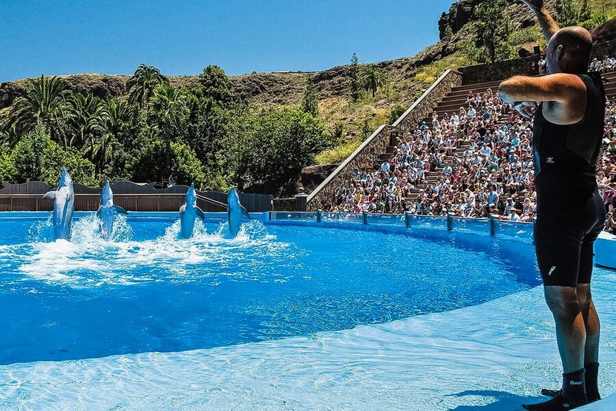 Maspalomas: Palmitos Park Ticket with Dolphin and Bird Shows - The Island of Primates and the small-critters zone