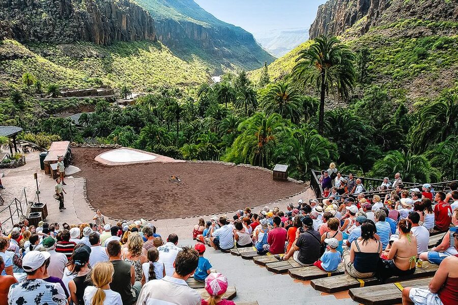Maspalomas: Palmitos Park Ticket with Dolphin and Bird Shows - Botanical extras that make Palmitos feel like more than a show calendar