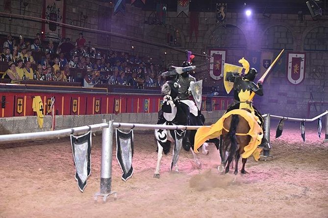 Medieval Show and Dinner at Castillo San Miguel with Transfer - Castillo San Miguel in Aldea Blanca, and why the setting matters
