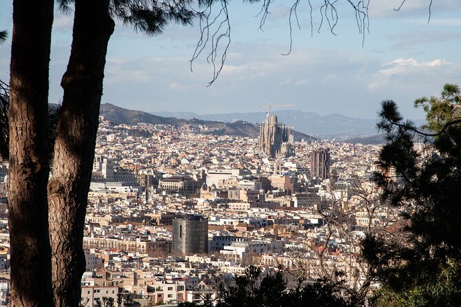 Montjuïc Walking Tour With Optional Flamenco Show - Why Montjuïc is a smart walk, not a checkbox