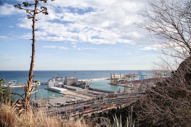 Montjuïc Walking Tour With Optional Flamenco Show - Route and stops: what you’ll see and why they matter