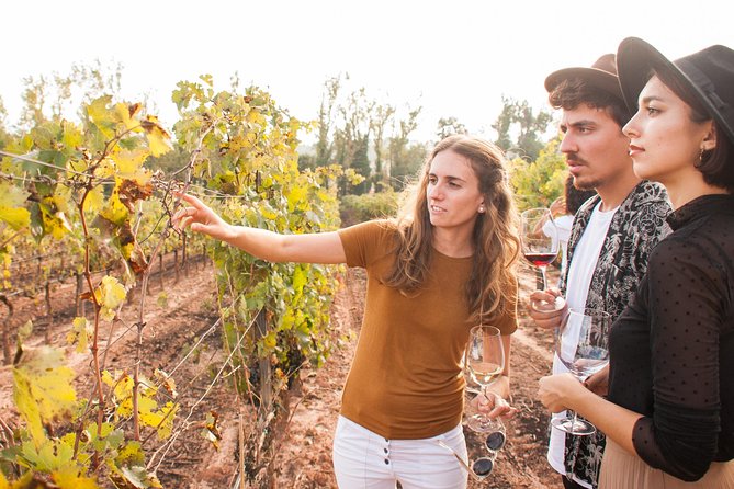 Montserrat & Cogwheel Train, Gourmet Wine Tasting & Tapas/Lunch - Why Montserrat Makes This a Smart Barcelona Day Trip