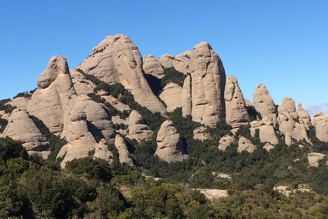 Montserrat Hiking Experience & Monastery Premium Small Group Tour - Abadia de Montserrat: skip the line and learn the monastery properly