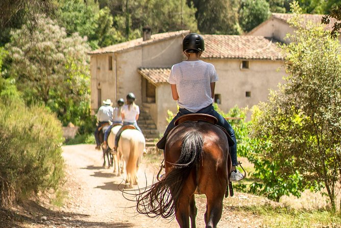 Montserrat Monastery & Horse Riding Experience from Barcelona - The trail experience: calm horses and real views