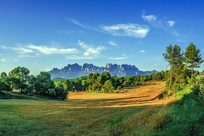 Montserrat Private Tour with Hotel pick-up from Barcelona - Price and value: is $246.13 per person fair for a half day?
