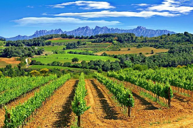 Montserrat,Vineyard, Wine Tasting Small Group Tour & Hotel Pickup - Penedès: Where Cava Culture Lives (and the Day Shifts Gears)
