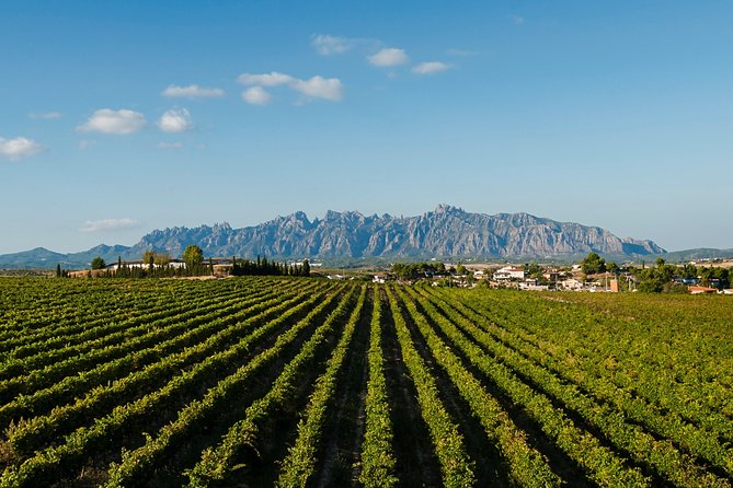 Montserrat,Vineyard, Wine Tasting Small Group Tour & Hotel Pickup - Pacing, Weather, and What to Plan for a 10-Hour Day