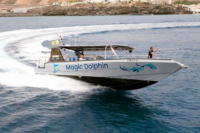 Morro Jable: 2 Hours Magic Dolphin & Whale watching with Drinks & Swim Stop. - The crew style that makes the difference