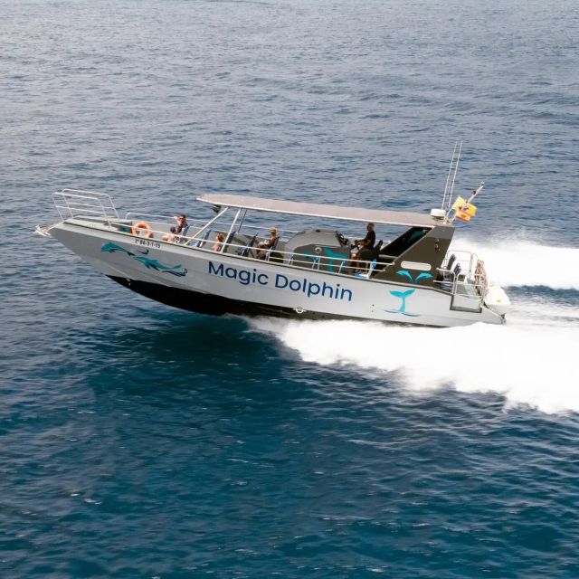 Morro Jable: Dolphin & Whale Watching Cruise, Drinks & Swim - Key Points That Matter Before You Book