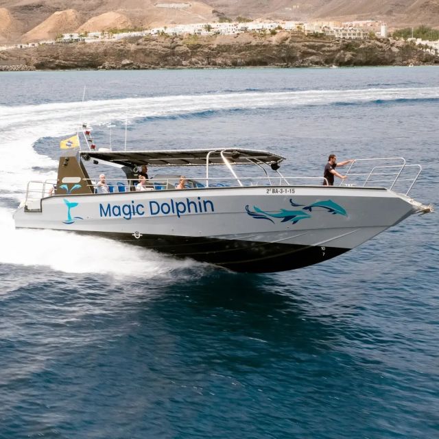 Morro Jable: Dolphin & Whale Watching Cruise, Drinks & Swim - Included Drinks: More Than a Perk, It Changes the Feel