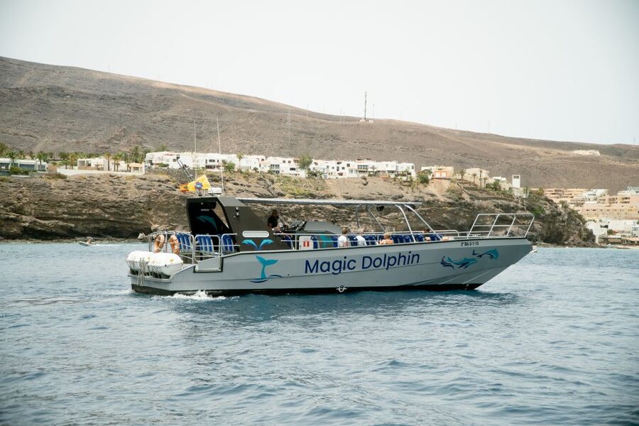 Morro Jable: Dolphin & Whale Watching Cruise, Drinks & Swim - Morro Jable Port: Getting Set for the Two-Hour Ride