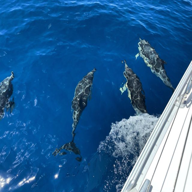 Morro Jable: Sailing Boat Excursion with Food and Drinks - A 3.5-hour Morro Jable yacht day, built around water time