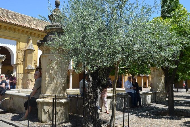 Mosque of Cordoba History Tour in English Tickets included - Value for $38.71: What You’re Actually Buying