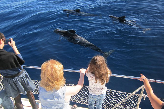 Most Famous Catamaran in Tenerife Island (2 hours and 3 hours tours) - Tenerife Catamaran Basics: Duration, Price, and What You Get