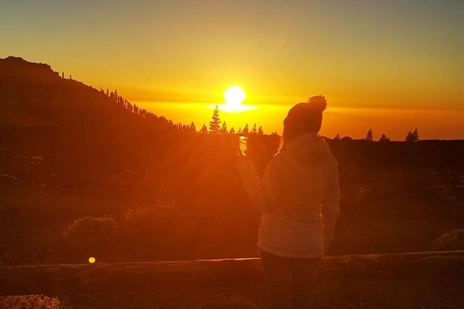Mount Teide Stargazing with Dinner - Dinner on the Climb: Canarian Comfort With a Few Tradeoffs
