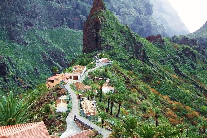 Mt. Teide and Masca Valley Tour in Tenerife - Price and value: what you really pay for at $61.55