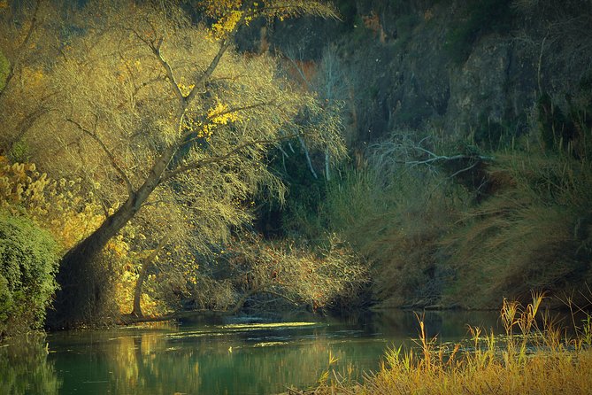 Murcia: Canyon of Almadenes Rafting, Caves & Photos - Guide Style in English: How Inclusion Actually Works
