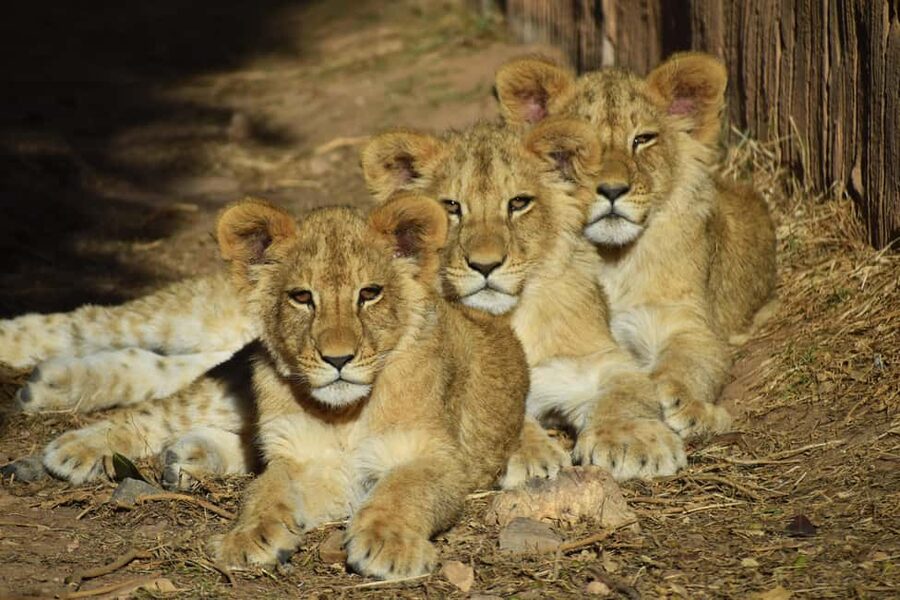Murcia: Terra Natura Murcia Ticket Entry - Key Things to Know Before You Go