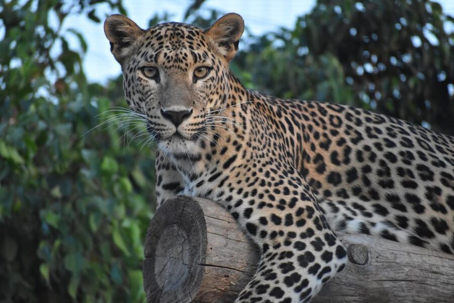 Murcia: Terra Natura Murcia Ticket Entry - Value for Money at About $10