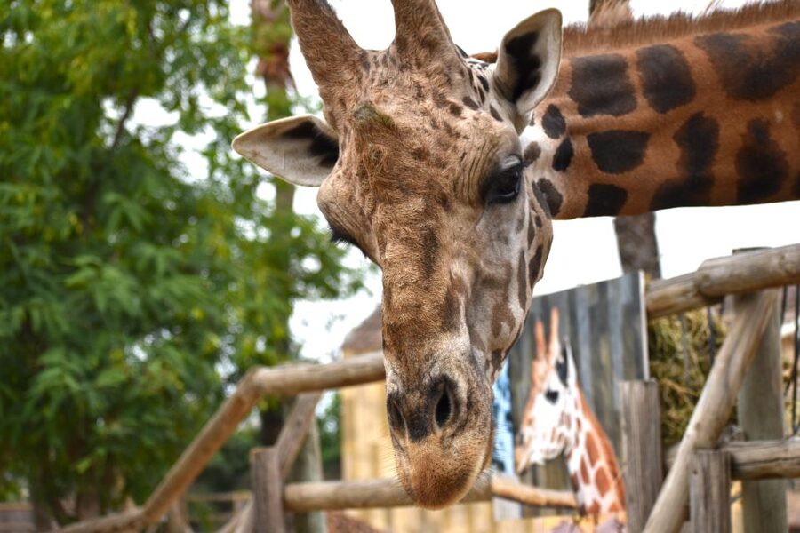 Murcia: Terra Natura Murcia Ticket Entry - Entering Terra Natura Murcia Without Overthinking It