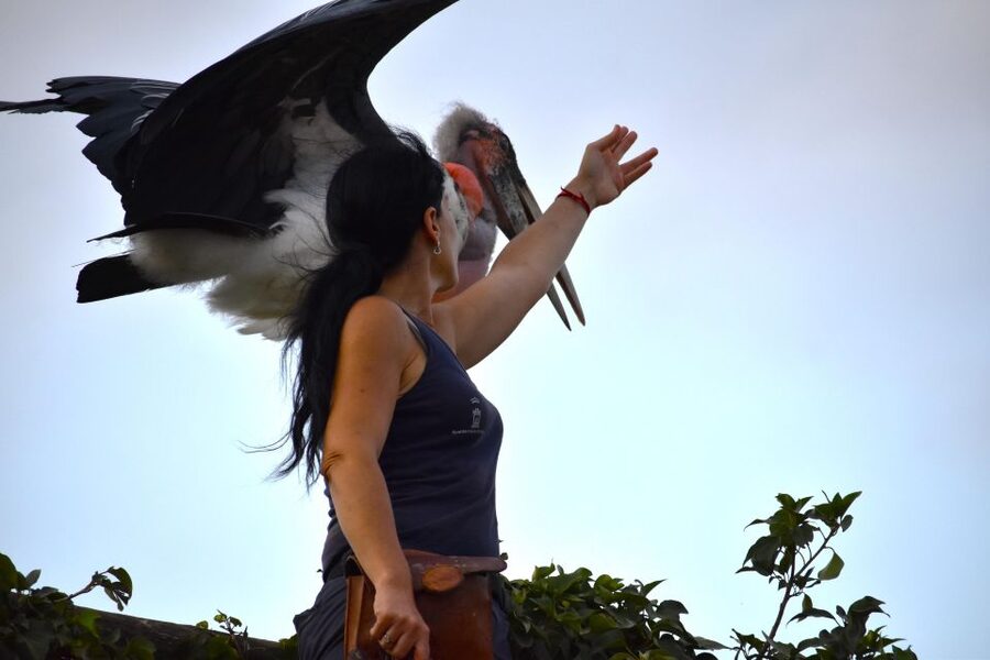 Murcia: Terra Natura Murcia Ticket Entry - Plan Your Day Around Opening Hours and One-Day Access