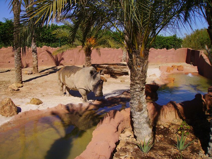 Murcia: Terra Natura Murcia Ticket Entry - Practical Tips for Families (and Anyone Bringing Valuables)