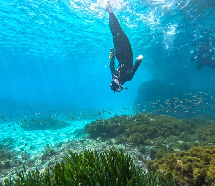 Nerja-Maro: Snorkeling & Sea Scooter Speedboat Trip - Sea scooters for fish spotting without a strong current