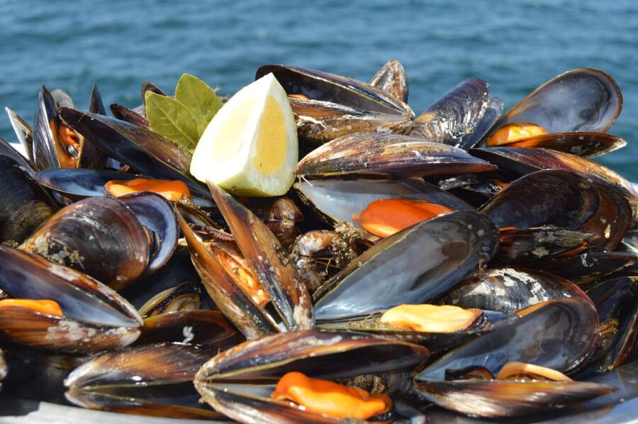 O Grove: Ría de Arousa Catamaran Tour with Seafood Lunch - Logistics That Affect Your Comfort (Without the Fuss)