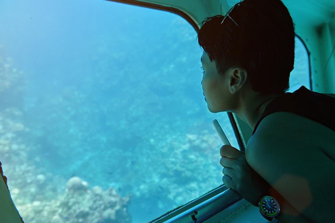 Odyssee 3: The Glass Bottom Boat Tour in Fuerteventura - Parc Natural de Jandía: where the wildlife hunt happens