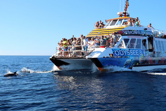 Odyssee 3: The Glass Bottom Boat Tour in Fuerteventura - Water-activity stop: slide, swim, snorkel, kayak, repeat