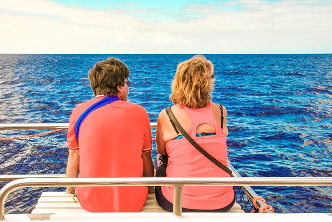 Odyssee 3: The Glass Bottom Boat Tour in Fuerteventura - Sea life sightings: dolphins, turtles, and the day’s reality