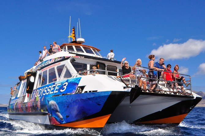 Odyssee 3: The Glass Bottom Boat Tour in Fuerteventura - Photos and the seagull finale: plan your spending mood