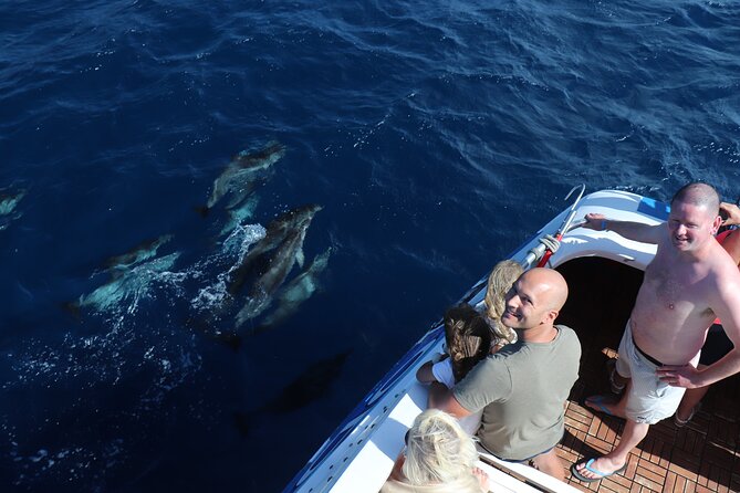 Odyssee 3: The Glass Bottom Boat Tour in Fuerteventura - The glass-bottom boat experience: best for fish spotting