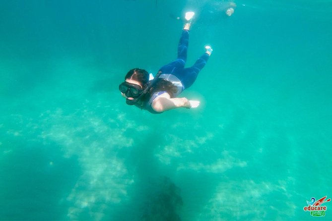 Paddle Surf Route Cliffs Nerja and Cascada de Maro + Snorkel - Caleta de Maro, Bird Habitat areas, and snorkeling breaks