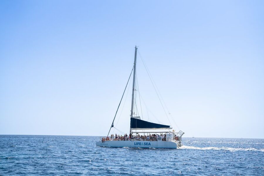 Palma: Catamaran Cruise with Swimming and Snorkelling - Quick hits before you go