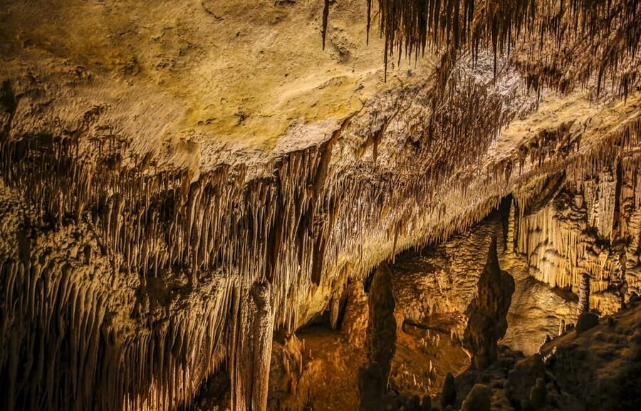 Palma: Caves of Drach Entrance, Music Concert, and Boat Trip - What you’ll see underground: formations, lighting, and the Lake Martel reveal