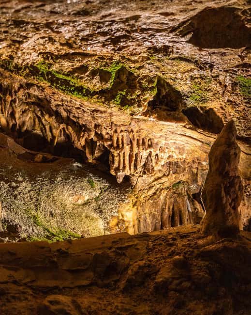 Palma: Caves of Genova Ticket & Digital Informational Video - Key Highlights You Should Know Before You Go