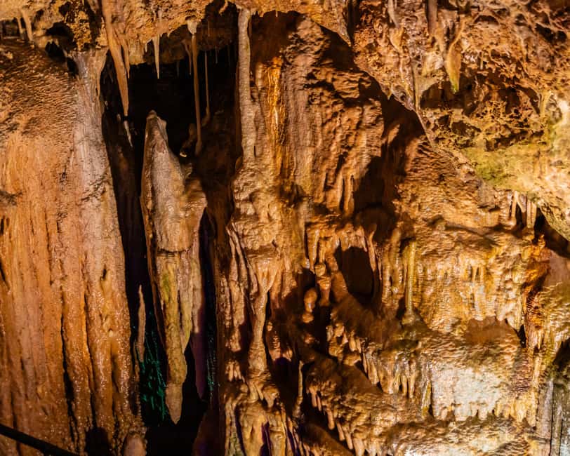 Palma: Caves of Genova Ticket & Digital Informational Video - Cuevas de Genova in Palma: A 25-Minute Cave That Feels Just Right