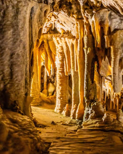 Palma: Caves of Genova Ticket & Digital Informational Video - Best Time to Go and How to Fit This Into a Palma Afternoon