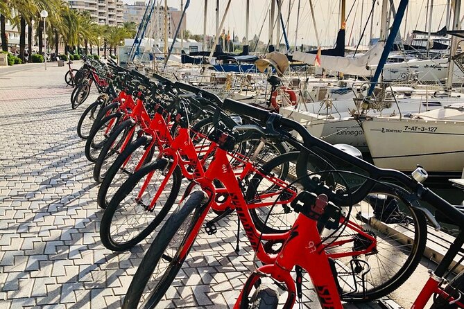 Palma de Mallorca Bike Tour with tapas - Tapas upgrade in Plaza España, 3 plates and a drink
