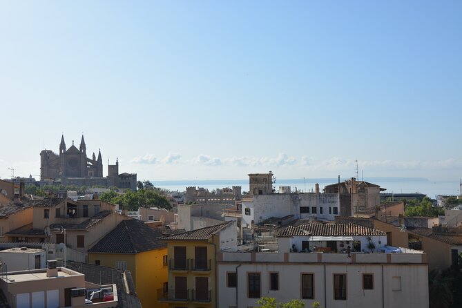 Palma de Mallorca Easy Bike Tour (Small Groups) - La Seu (Palma Cathedral): do you want the interior, or just the skyline?