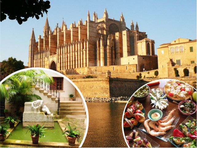 Palma de Mallorca: Guided Tour of the Old Town - Key highlights worth your attention